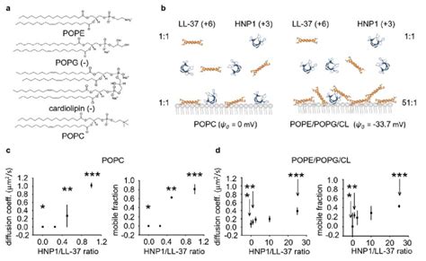 A The Chemical Structure Of Pope Popg Cl And Popc B Schemes