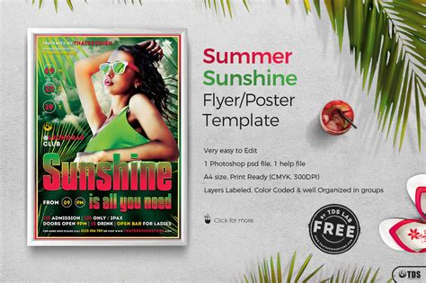 Free Summer Sunshine Flyer - Party Flyers for photoshop