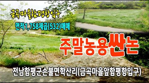 🏕23 030 전남함평군지역토지 손불면학산리싼땅논 🏞손무로변함평항길입구금곡마을입구농림지역논532py매매~ Youtube