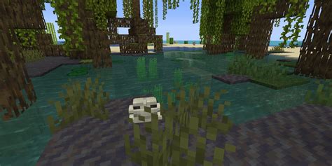 Minecraft How To Find Mangrove Swamps What To Find There