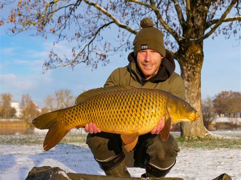 Succesvol Karpervissen In De Winter Beste Locatie S En Tijdstip KWO