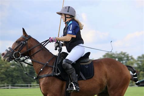 polo   timeless sport   world british wire