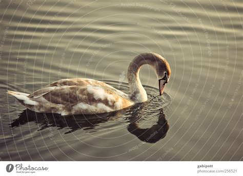 Wer Bist Du Denn Natur Ein Lizenzfreies Stock Foto Von Photocase