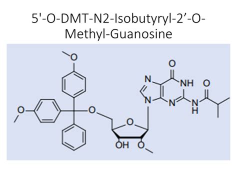 O Dmt N Isobutyryl O Methyl Guanosine Akonscientific