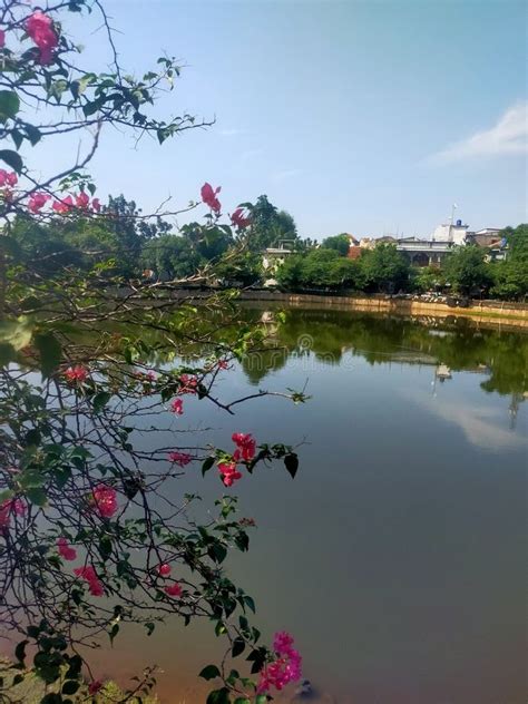 Flowers Have Always Been A Symbol Of Love And Water Is The Source Of