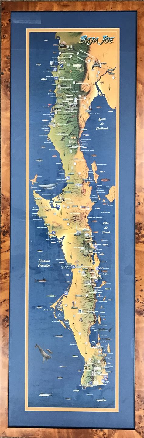 Baja Joe Framed Map Discover Baja Travel Club