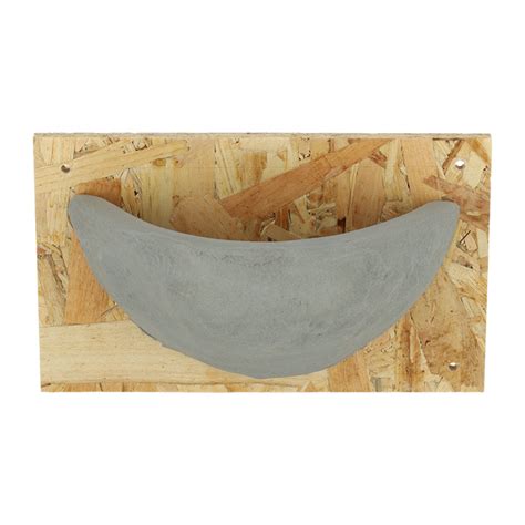 Barn Swallow Nest Veldshopnl