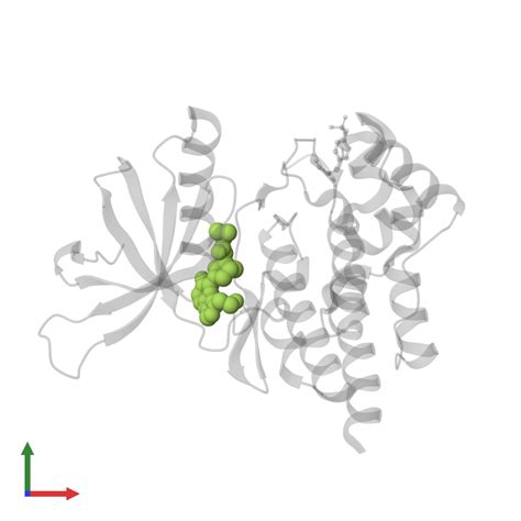 Pdb Vny Gallery Protein Data Bank In Europe Pdbe Embl Ebi