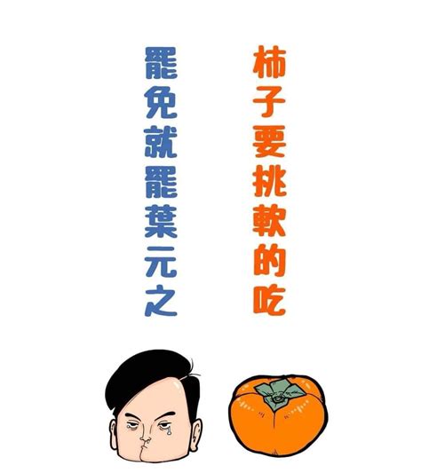 【罷免葉元之】柿子要挑軟的吃 罷免就罷葉元之 🎵！罷免新北市第七選區「國民黨立委」葉元之！ 個人看板板 Dcard