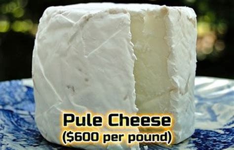 Top 16 Most Expensive Cheese In the World in 2025