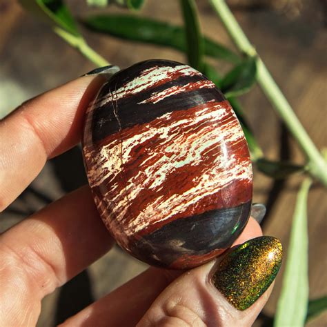 Snakeskin Jasper Guide Properties And Meaning Sage Goddess