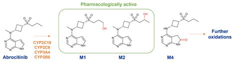 Metabolism Of Fda Approved Small Molecule Drugs Part Hypha