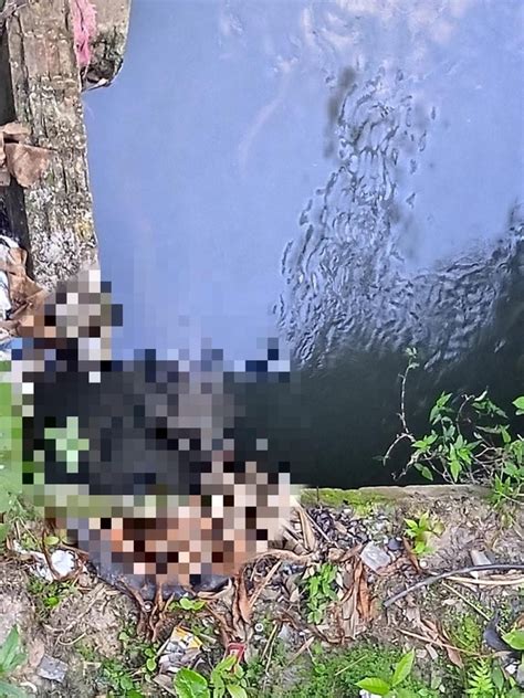 Homem é Espancado Até A Morte E Jogado Em Igarapé De Manaus