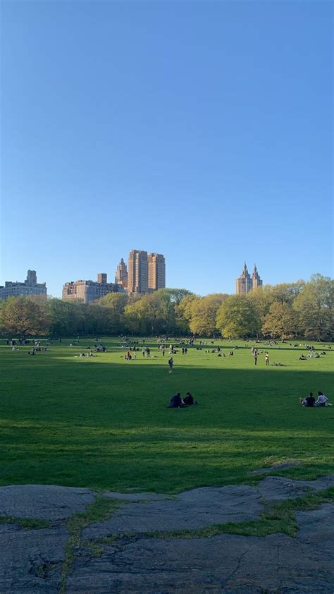 Central Park, spring | Central park nyc, Spring in new york, Nyc park