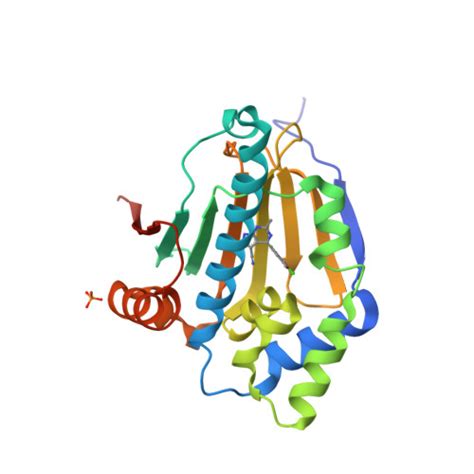 RCSB PDB 3RLR Co Crystal Structure Of The HSP90 ATP Binding Domain