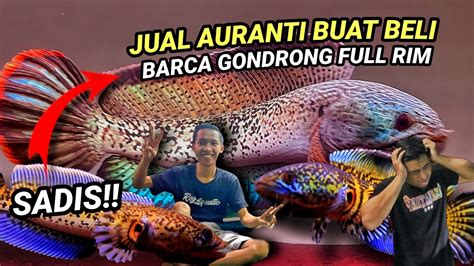 CARA BIKIN AURANTI DORSAL POLOS JUAL AURANTI UNTUK BELI CHANA BARCA 2