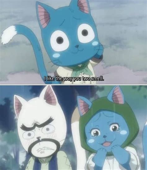 Aww We All Knew Who They Were When We Saw Them Fairy Tail Cat Fairy