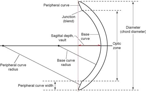 Contact Lens Base Curve What Is How Importance Is It — 47 Off