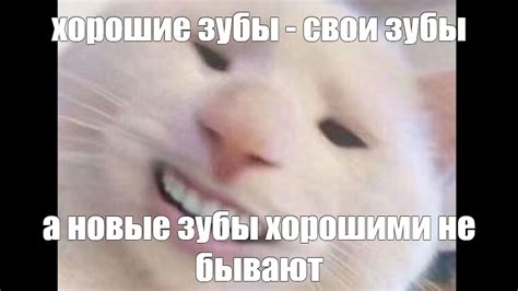 Мем: "хорошие зубы - свои зубы" - Все шаблоны - Meme-arsenal.com