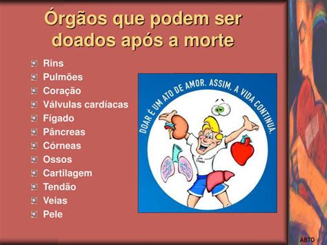 Qual Órgão Nao Pode Ser Doado - PPT - Doação de órgãos e tecidos PowerPoint Presentation, free download ...