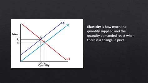 Elasticity Of Demand Lesson 3 Guided Reading