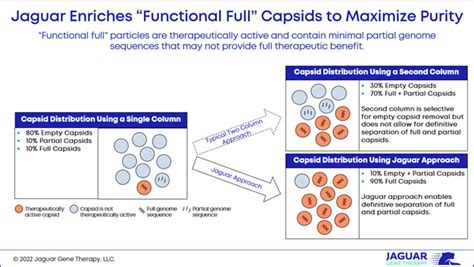 Addressing The Achilles Heel Of Gene Therapy Manufacturing