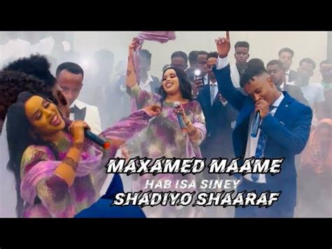 MAXAMED MAAAME FT SHAADIYO SHARAF HIT SONG HAB ISA SIINAY OFFICIAL