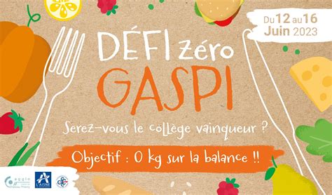 D Fi Z Ro Gaspi Dans Coll Ges D Partementaux Conseil D Partemental