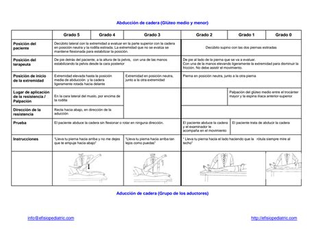 Solution Pruebas De Valoraci N De La Fuerza Muscular Studypool