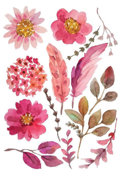 Watercolor Flower Elements Clipart 20580212 Vector Art At Vecteezy