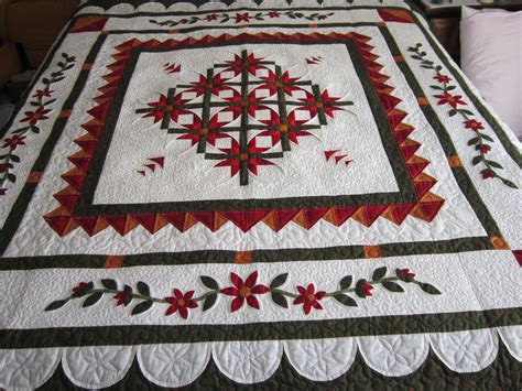 This Quilt Was A Border Challenge I Bought The Mexican Star Center