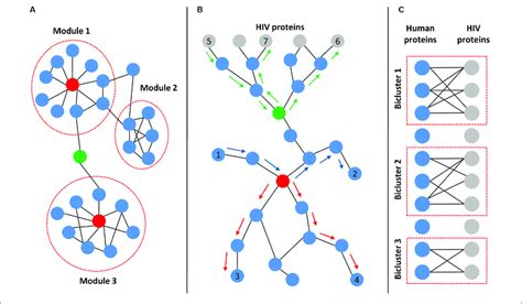 Main Topological Characteristics Of Human And Hiv Human Download