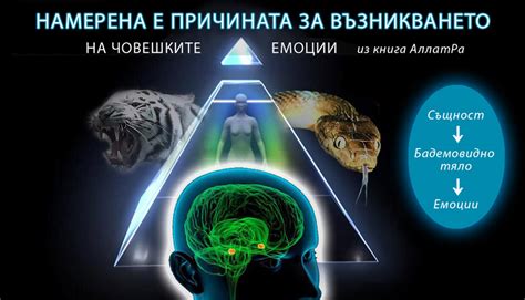 Как се зараждат емоциите в човека - АллатРа - БългарияАллатРа – България