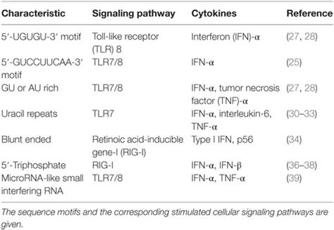 Frontiers Rna Interference Induced Innate Immunity Off Target Effect