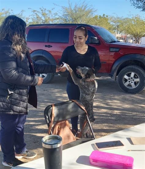 Salud Sonora On Twitter A Beneficio De Los Caninos Y Felinos De