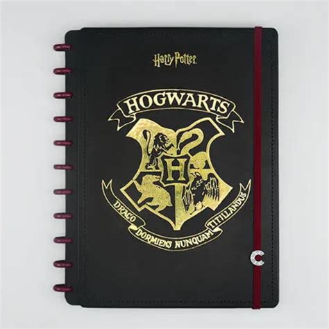 CADERNO INTELIGENTE HARRY POTTER 80FLS PAPELARIA GRAFITTE Papelaria