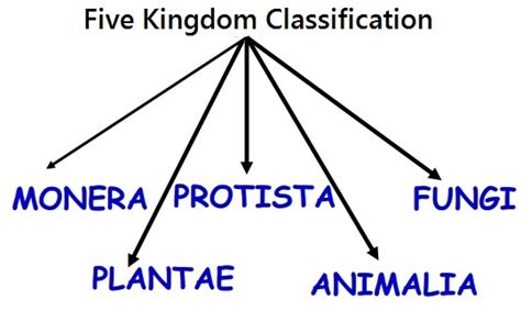 Biology - Biological Classification Revision Notes for NEET (AIPMT ...