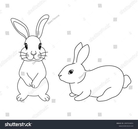 Cute Rabbit Different Poses Vector Illustration Stock Vector Royalty