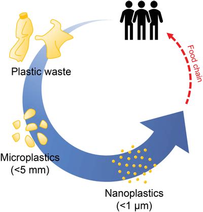 Plastic Waste Fragmentation Into Microplastics And Nanoplastics