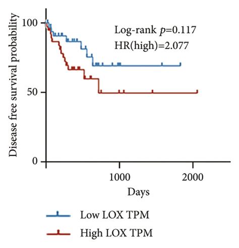 Correlation Between Lox Expression And Clinicopathological Features In