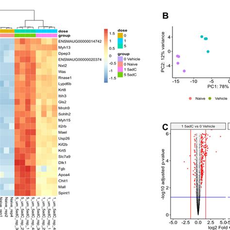 A Heatmap B Pca And C Volcano Plot For Rna Seq Data Analysis