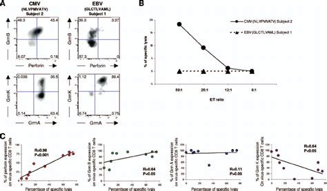 Correlation Between Perforin Granzyme Expression And Cytotoxic