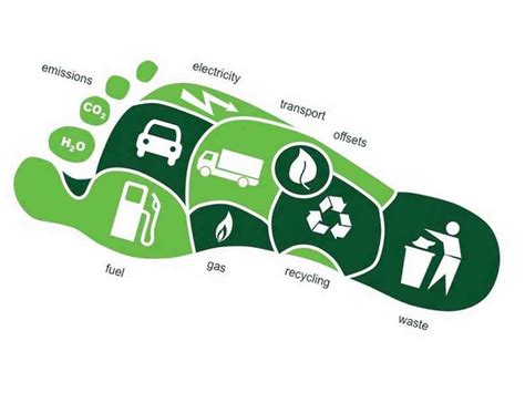 Carbon Footprint Calculator Calcola La Tua Impronta Ecologica