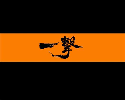 Kyokushin Karate Wallpapers Top Free Kyokushin Karate Backgrounds