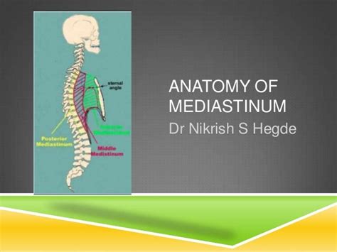 CT ANATOMY OF NORMAL MEDIASTINUM MADE EASY