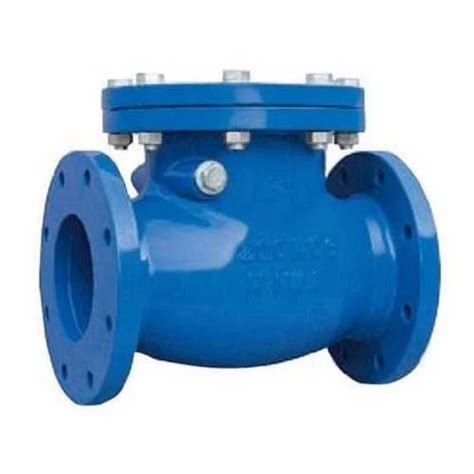 Normex Valve Normex Ball Check Valve Manufacturer From New Delhi