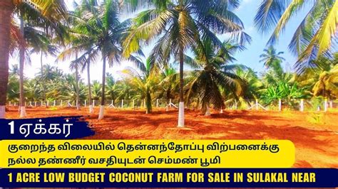 Acre Low Budget Coconutfarm For Sale In Coimbatore Sulakkal Near