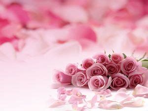 Pink romantic rose flower PPT background picture PowerPoint Templates Free Download