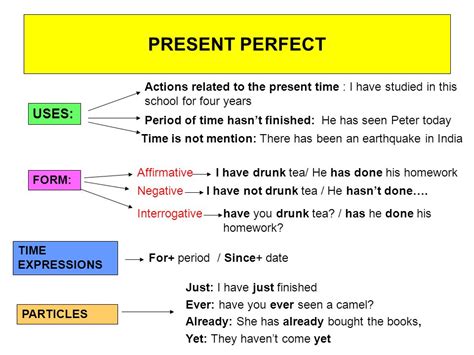 The Present Perfect