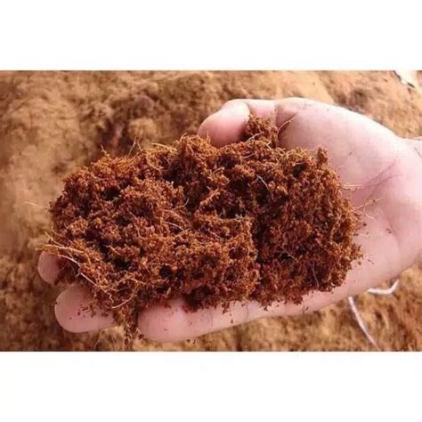 Jual Cocopeat 1 Kg Media Tanam Tanah 1Kg Sekam Bakar 1Kg Sekam